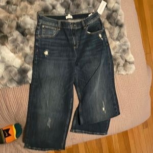 PacSun kids size 14 jeans - not worn and still has tags.  Worn holes (by design)